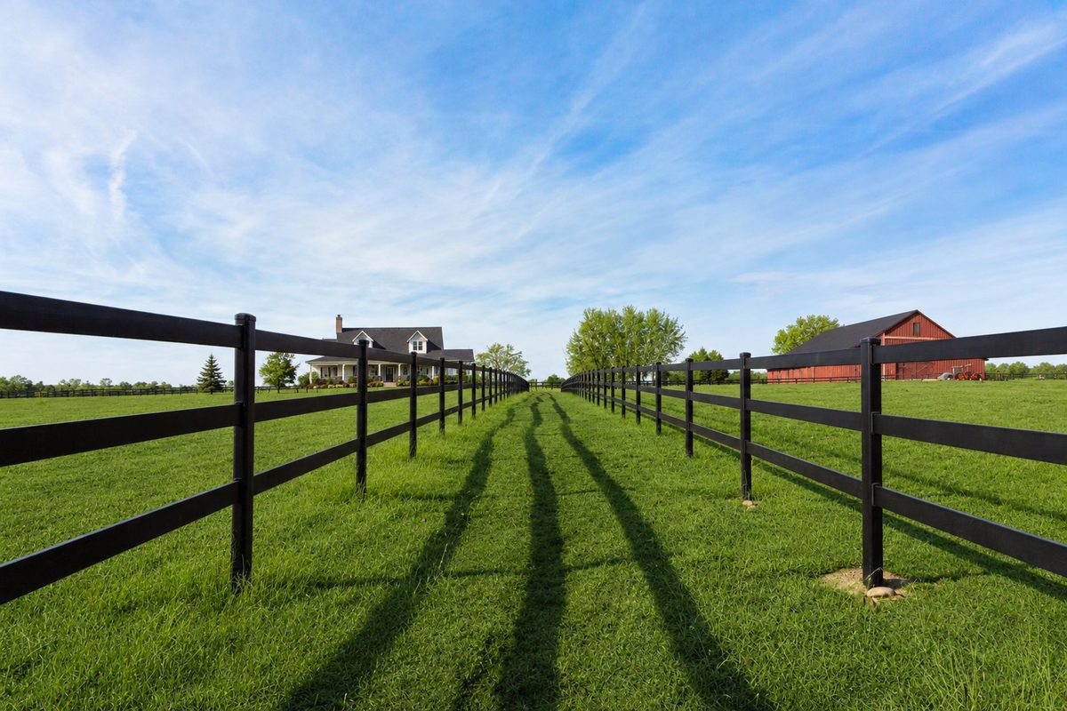 Kuptz 3-rail black steel post and rail fence along a green pasture